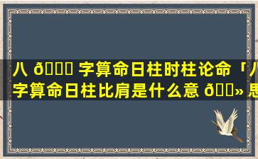 八 🍁 字算命日柱时柱论命「八字算命日柱比肩是什么意 🌻 思」